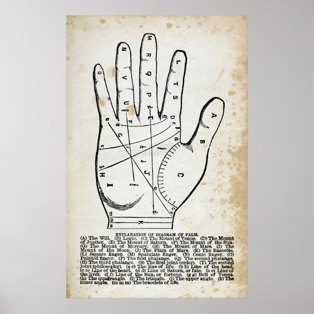 Palmistry oder Handleseplakat Poster (Vorne)