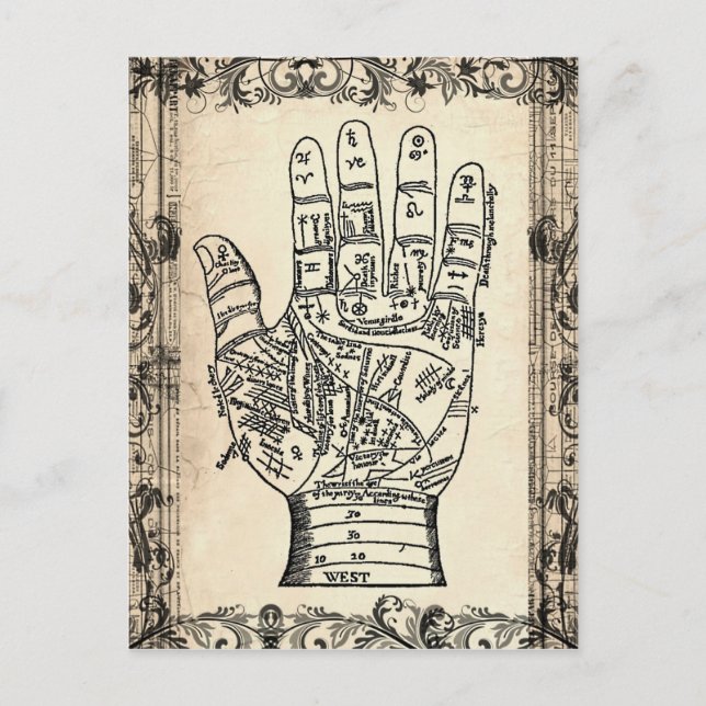 Palmistry Vintag Fortune Teller Postcard Postkarte (Vorderseite)