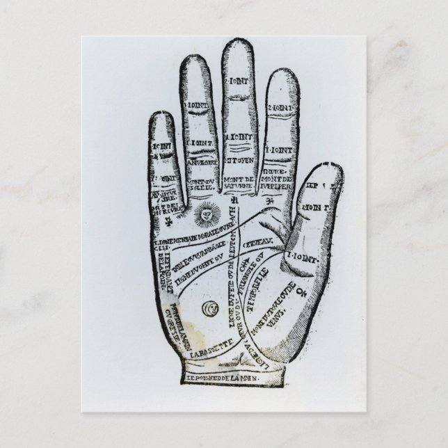 Palmitie Postkarte (Vorderseite)