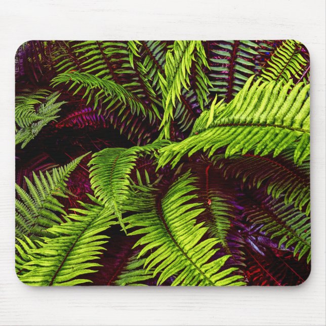 Palms 2 Mousepad (Vorne)