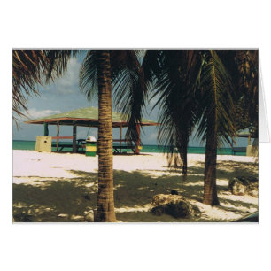 Palms on Seven Mile Beach, Grand Cayman Island