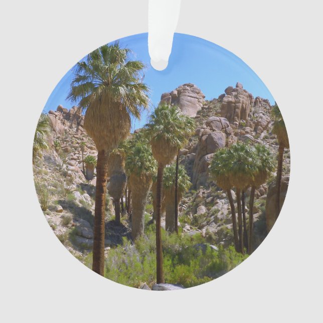 Palms perdus Oasis I au parc national de Joshua Tr (devant)