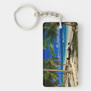 Palms tropicaux San Blas Panama Sandy Beach Island