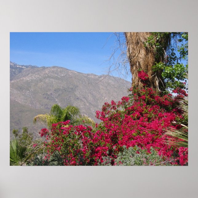 PalmSprings (4) Poster (Vorne)