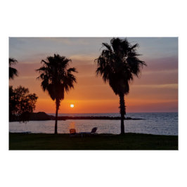 Palmtree sunset poster