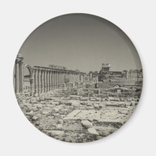 Palmyra Magnet