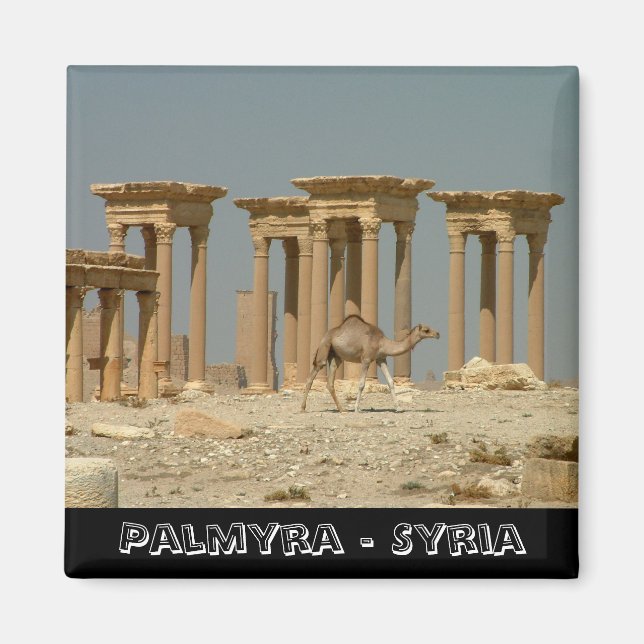 Palmyra, Schätze Syriens Nr.3 (Kühlschrankmagnet) Magnet (Vorne)