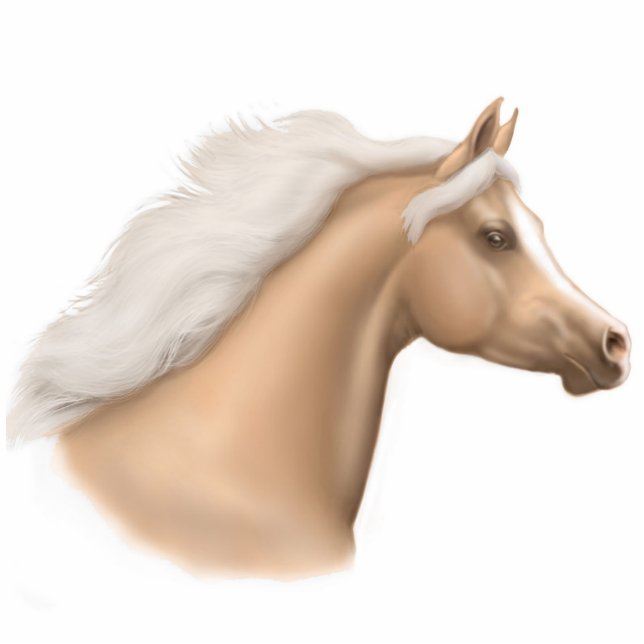 Palomino-arabische Pferdekopf-Verzierung Fotoskulptur Ornament (Vorne)