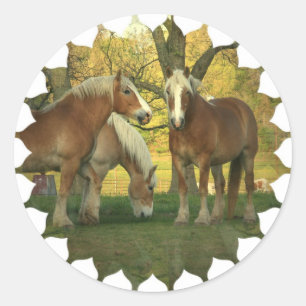Palomino-Aufkleber für Pferde Runder Aufkleber