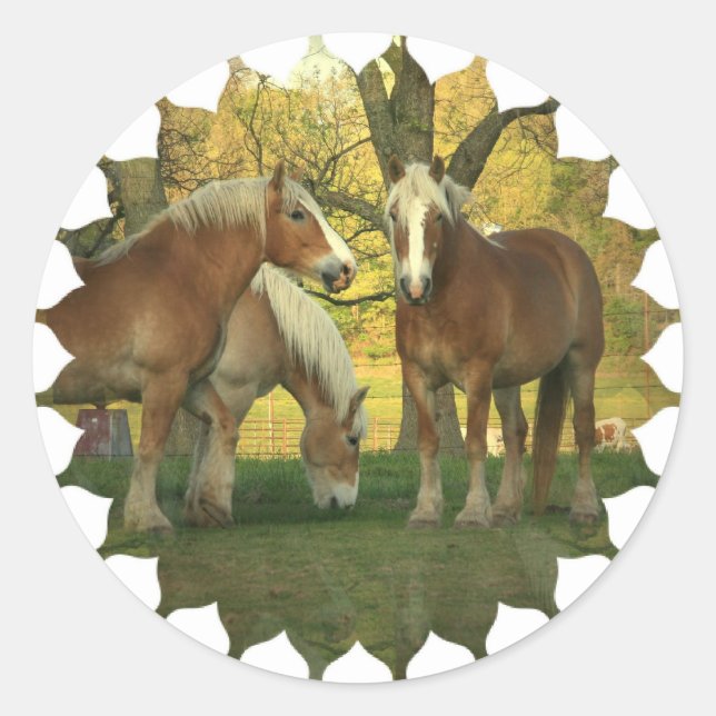 Palomino-Aufkleber für Pferde Runder Aufkleber (Vorderseite)