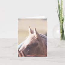 Palomino Gold - 4" x 5.6" Notizkarte