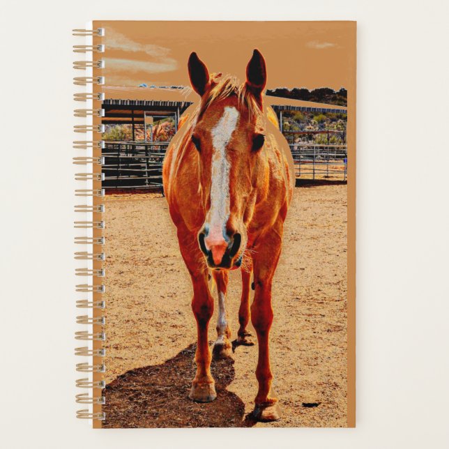 Palomino Horse Daily Planer (Vorderseite)