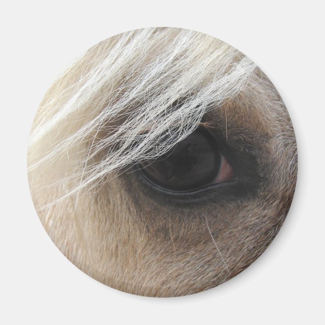 Palomino Horse Eye Magnet (Vorne)