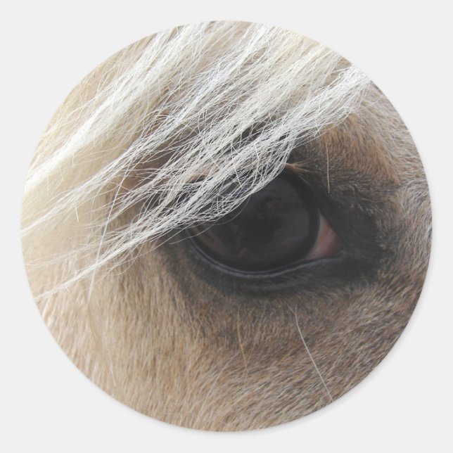 Palomino Horse Eye Runder Aufkleber (Vorderseite)