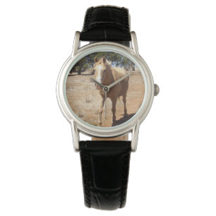 Palomino Horse Gruß, Armbanduhr