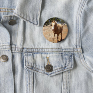 Palomino Horse Gruß, Button