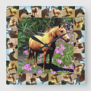 Palomino Horse In Palomino Horses Picture Frame, Quadratische Wanduhr