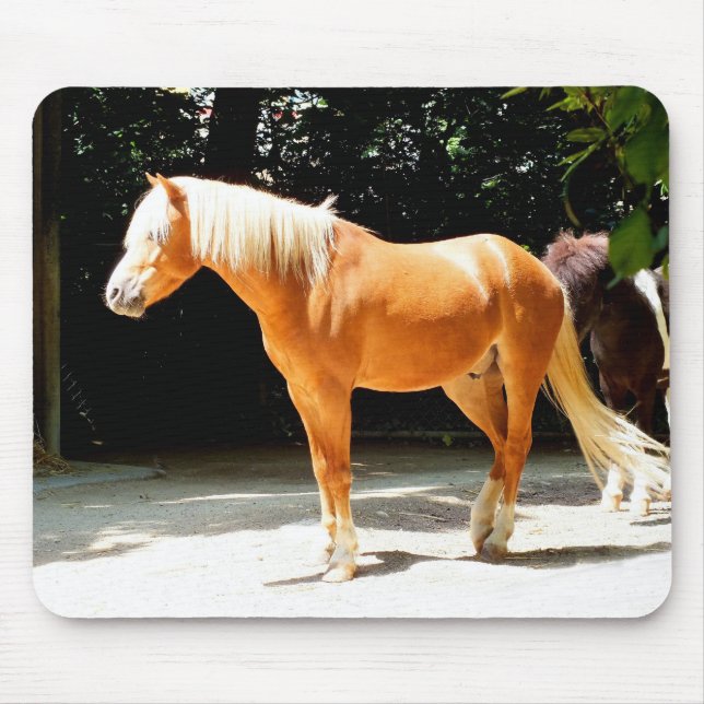 Palomino horse mousepad (Vorne)