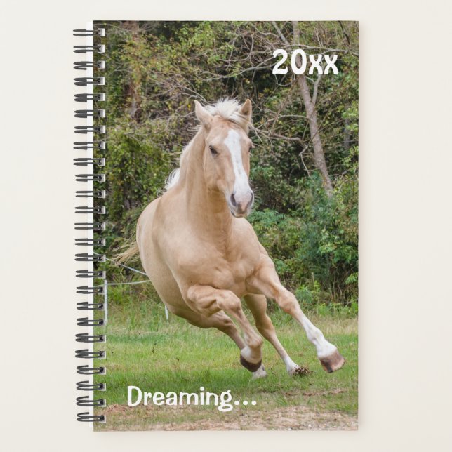 Palomino Horse Planificateur mensuel (Devant)
