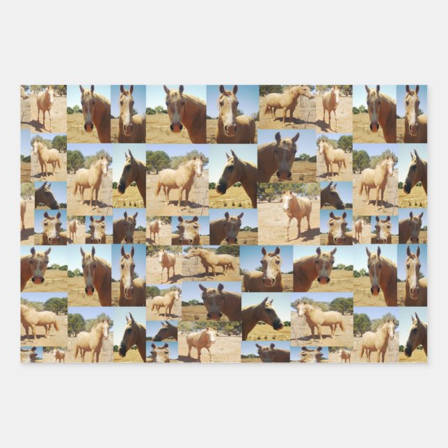 Palomino Horses Collarge, Geschenkblätter, Geschenkpapier Set (Vorderseite)