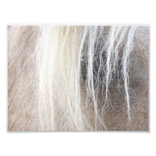 Palomino Imitate Leinwand Fotodruck (Vorne)