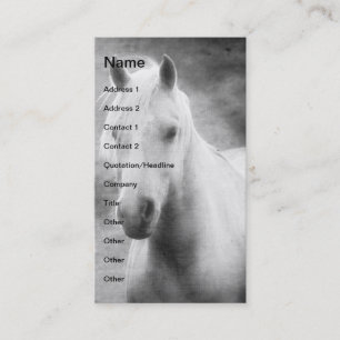 Palomino in Schwarz-Weiß Visitenkarte