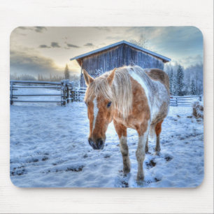 Palomino Paint Horse and Barn Equine Fotografie Mousepad
