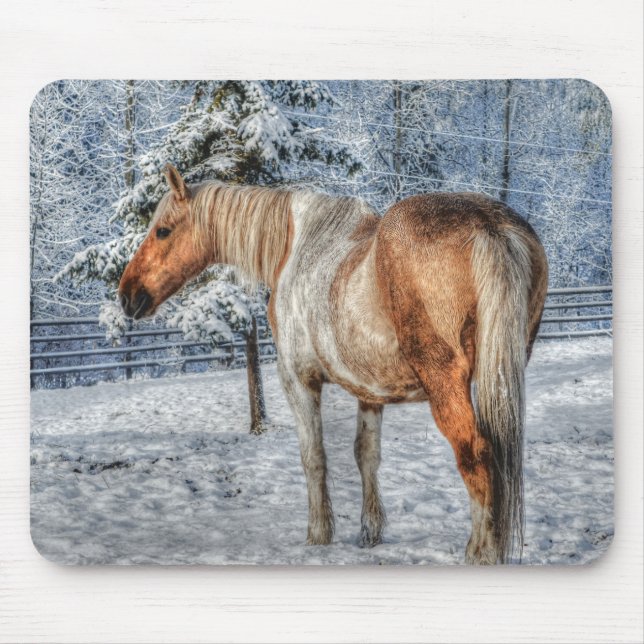 Palomino Paint Horse and Snow Equine Fotografie Mousepad (Vorne)