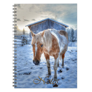Palomino Paint Horse-Liebhaber's Equine Design Notizblock