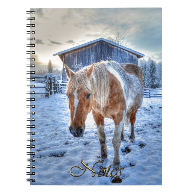 Palomino Paint Horse-Liebhaber's Equine Design Notizblock (Vorderseite)