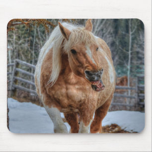 Palomino Paint Ranch Horse Equine Fotografie Mousepad