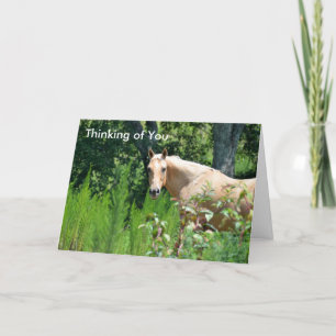 Palomino Pferd Denken Sie an Ihre Karte