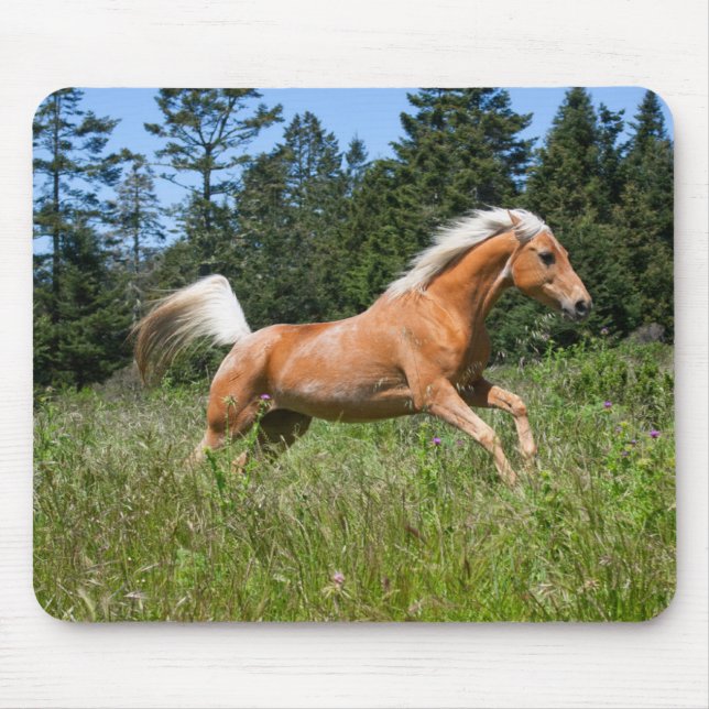 Palomino Pferd durch eine Wiese Mousepad (Vorne)