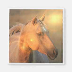 Palomino-Pferd im hellen quadratischen Magneten Magnet