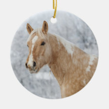 Palomino Pferd im Schnee