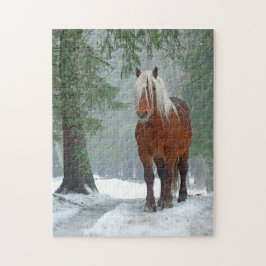 Palomino Pferd im Winter Schnee im Wald