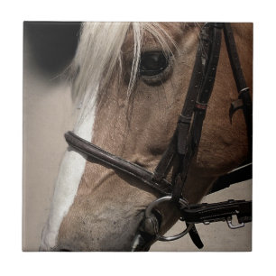 Palomino Pferd in Bridle Fliese