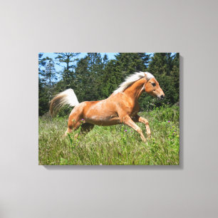Palomino-Pferd läuft durch eine Wiese Leinwanddruck