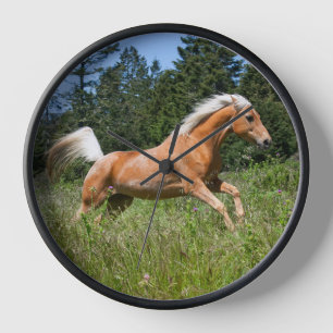 Palomino-Pferd läuft durch eine Wiese Uhr