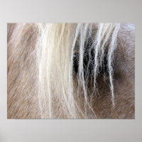 Palomino Pferd