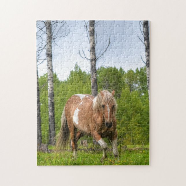 Palomino Pferd und Bäume Foto (Vertikal)