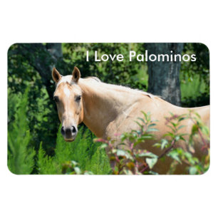 Palomino Pferde Flexible Magnet