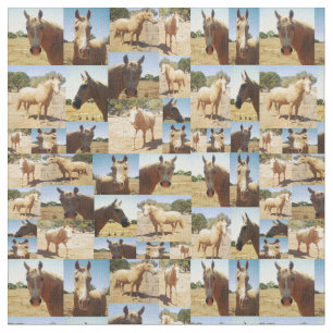 Palomino Pferde FotoCollage, Stoff