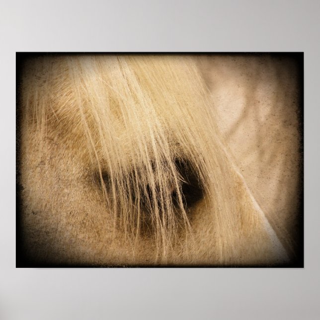 Palomino Pferdefass Side Grunge Poster (Vorne)