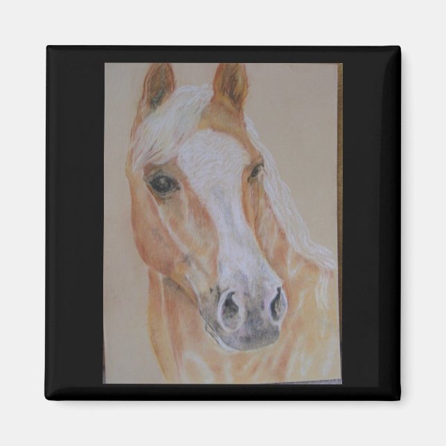 Palomino-Pferdemagnet Magnet (Vorne)