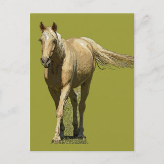 Palomino-Pferdepostkarte Postkarte