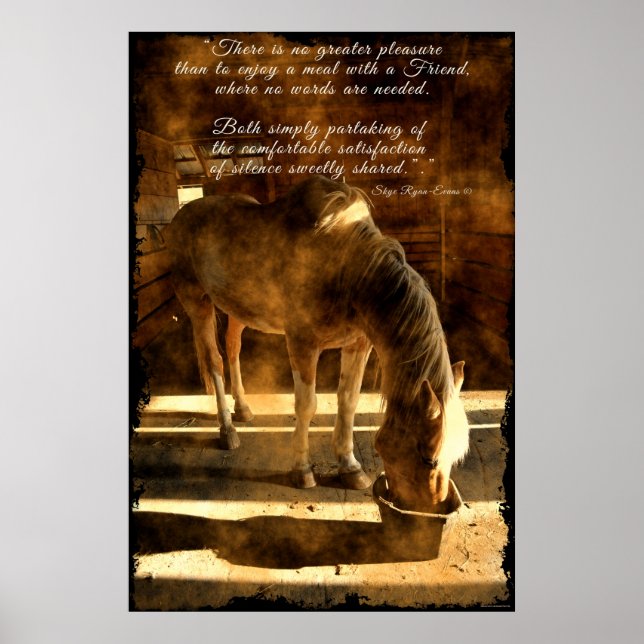 Palomino Pinto Pferd Fütternd in Barn & Prose Poster (Vorne)