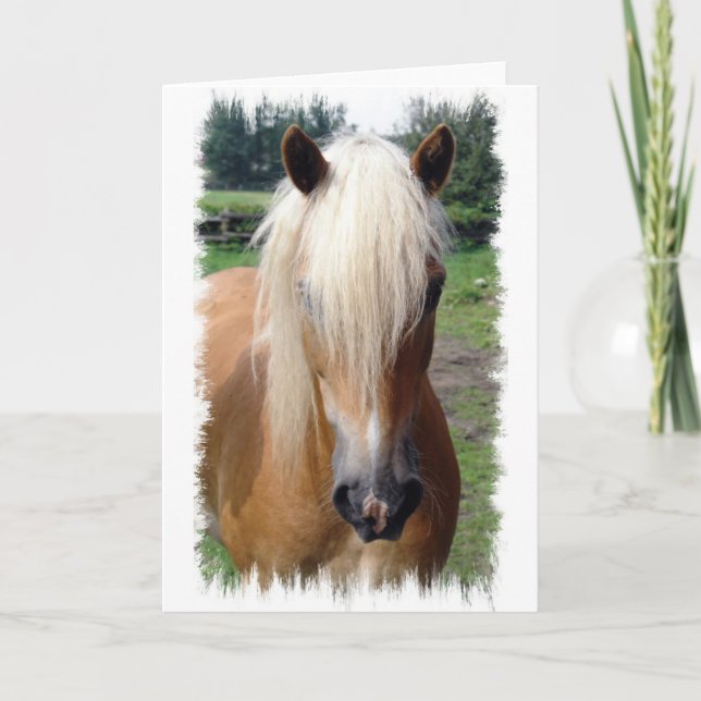 Palomino-Quarterhorse-Gruß-Karte Karte (Vorderseite)