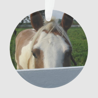 Palomino Regardant Derrière une Clôture