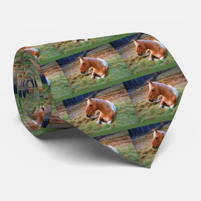 Palomino Reitstall Krawatte (Gerollt)